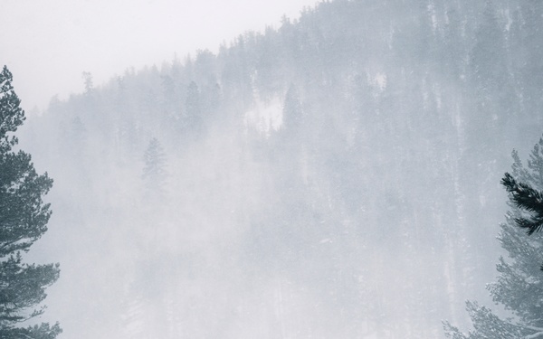 MTX 2-25 Supplying Chow