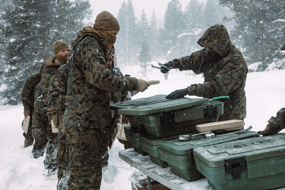 MTX 2-25 Supplying Chow