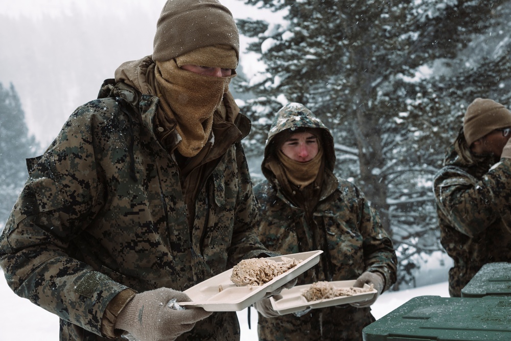 MTX 2-25 Supplying Chow