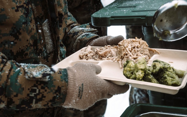 MTX 2-25 Supplying Chow