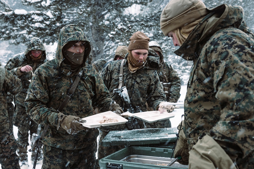 MTX 2-25 Supplying Chow