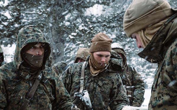 MTX 2-25 Supplying Chow