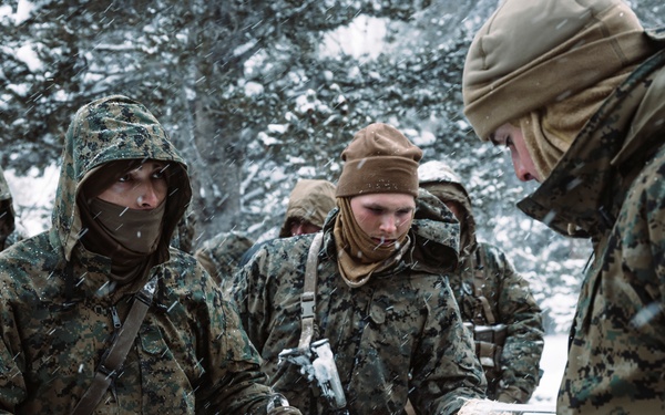 MTX 2-25 Supplying Chow