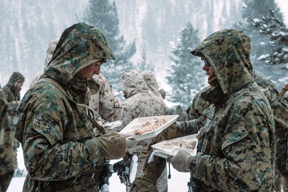 MTX 2-25 Supplying Chow