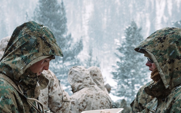 MTX 2-25 Supplying Chow