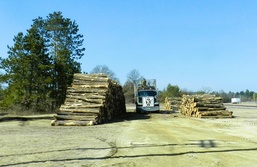 Fort McCoy timber harvest improves training capability, environment