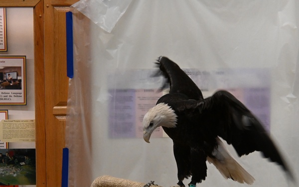 Operation WildLife visits Frontier Army Museum