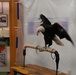 Operation WildLife visits Frontier Army Museum