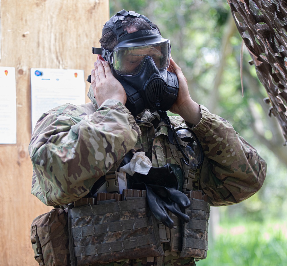 Expert Infantry, Expert Field Medical Badge, Expert Soldier Badge (E3B)