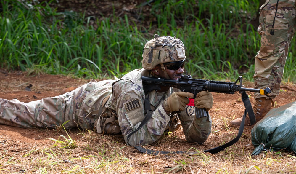 Expert Infantry, Expert Field Medical Badge, Expert Soldier Badge (E3B)