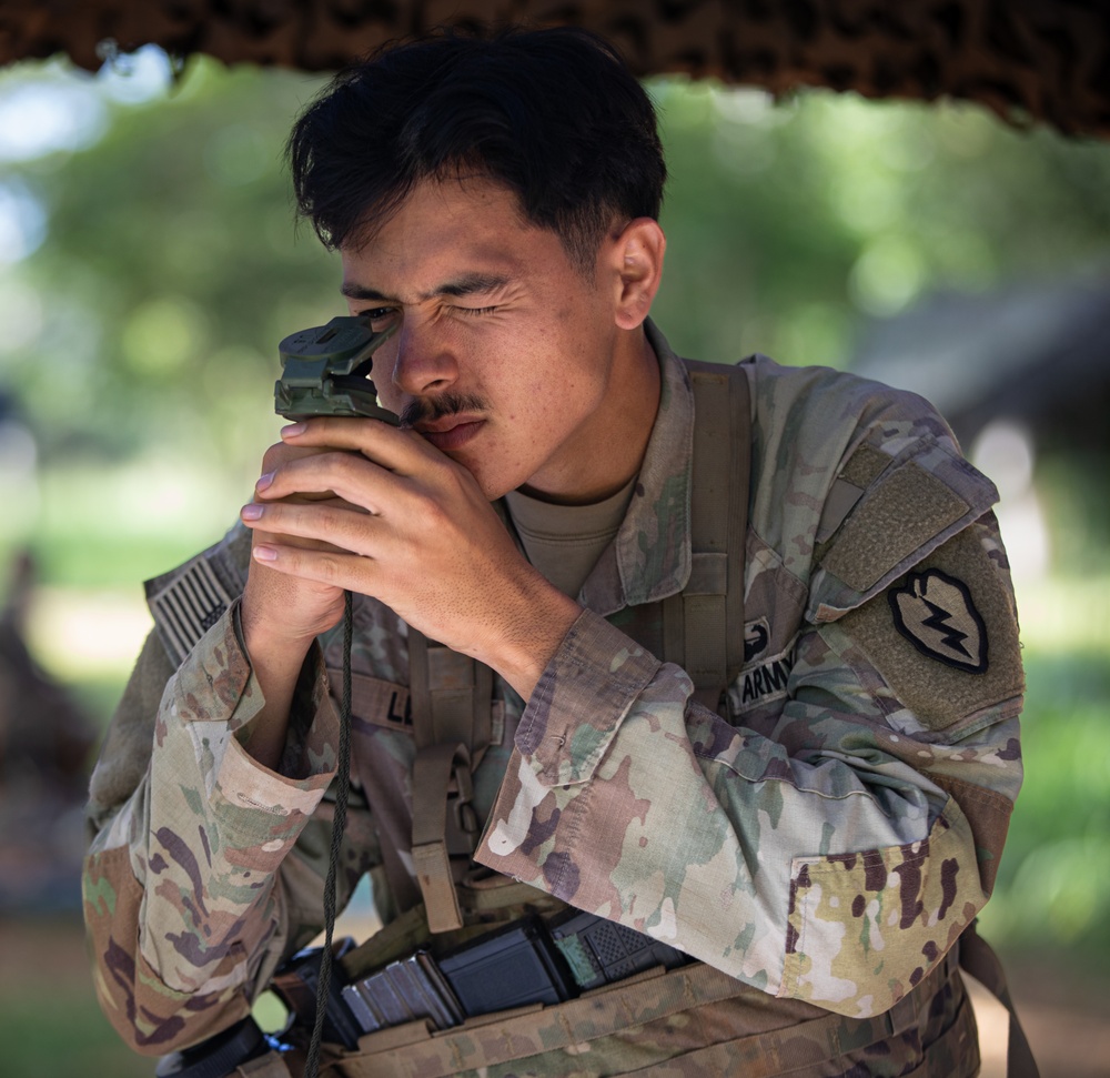 Expert Infantry, Expert Field Medical Badge, Expert Soldier Badge (E3B)