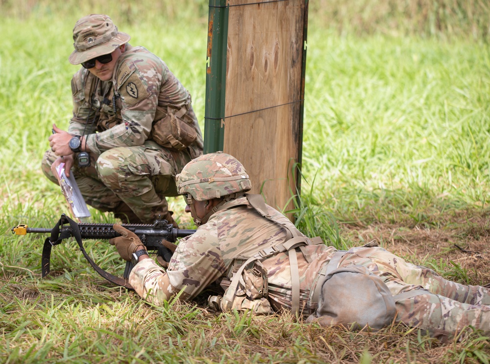 Expert Infantry, Expert Field Medical Badge, Expert Soldier Badge (E3B)