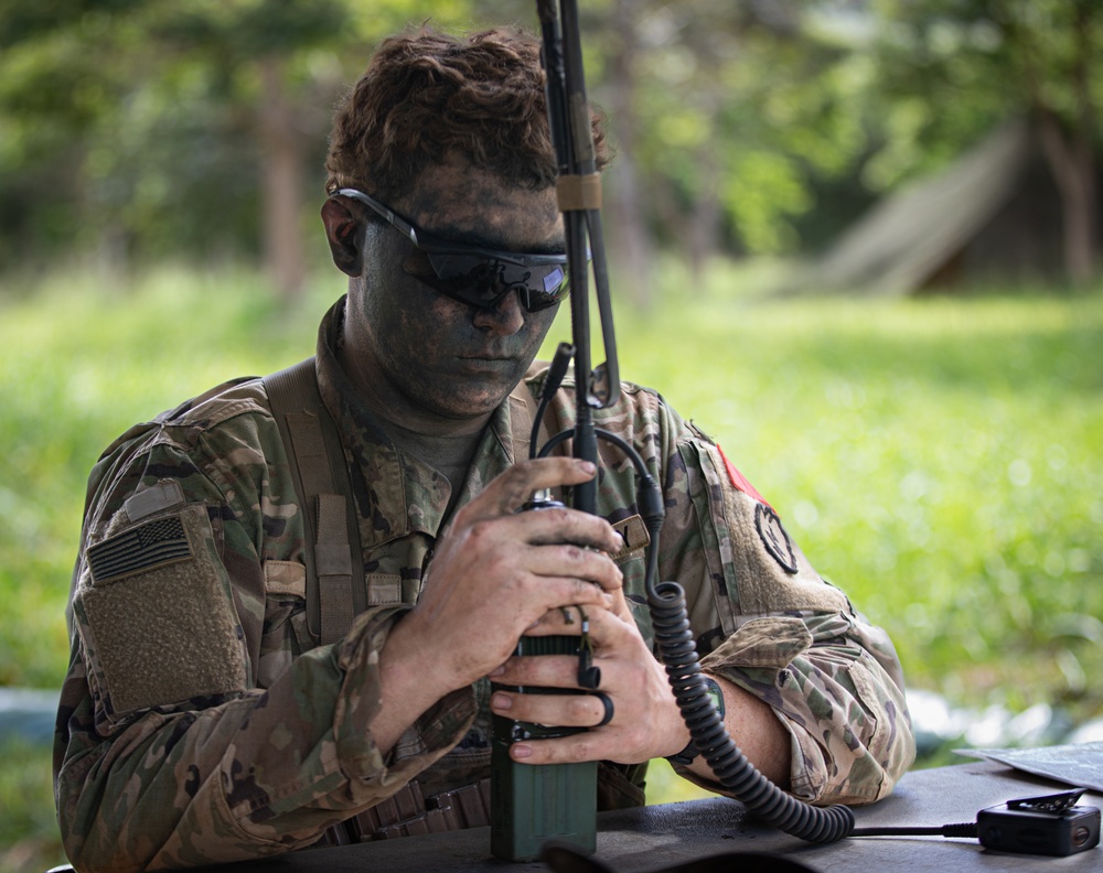 Expert Infantry, Expert Field Medical Badge, Expert Soldier Badge (E3B)