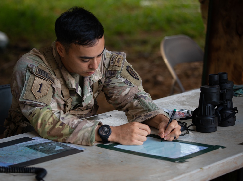 Expert Infantry, Expert Field Medical Badge, Expert Soldier Badge (E3B)