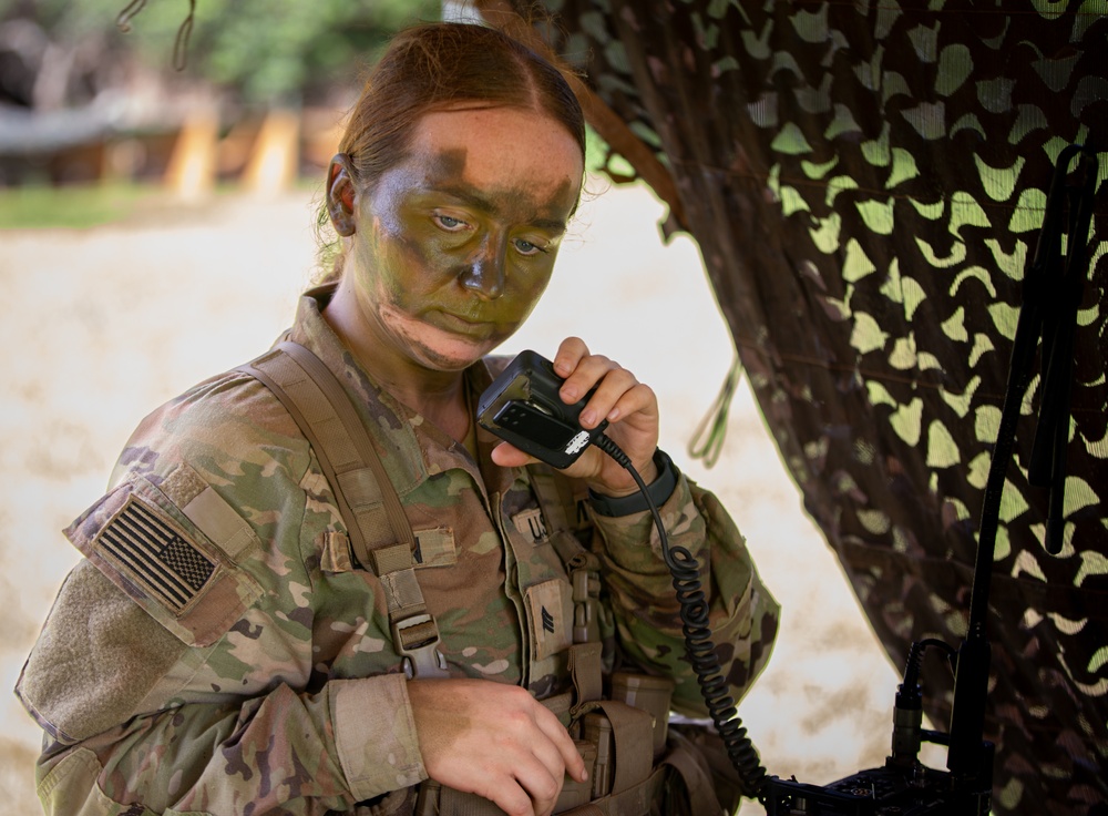 Expert Infantry, Expert Field Medical Badge, Expert Soldier Badge (E3B)