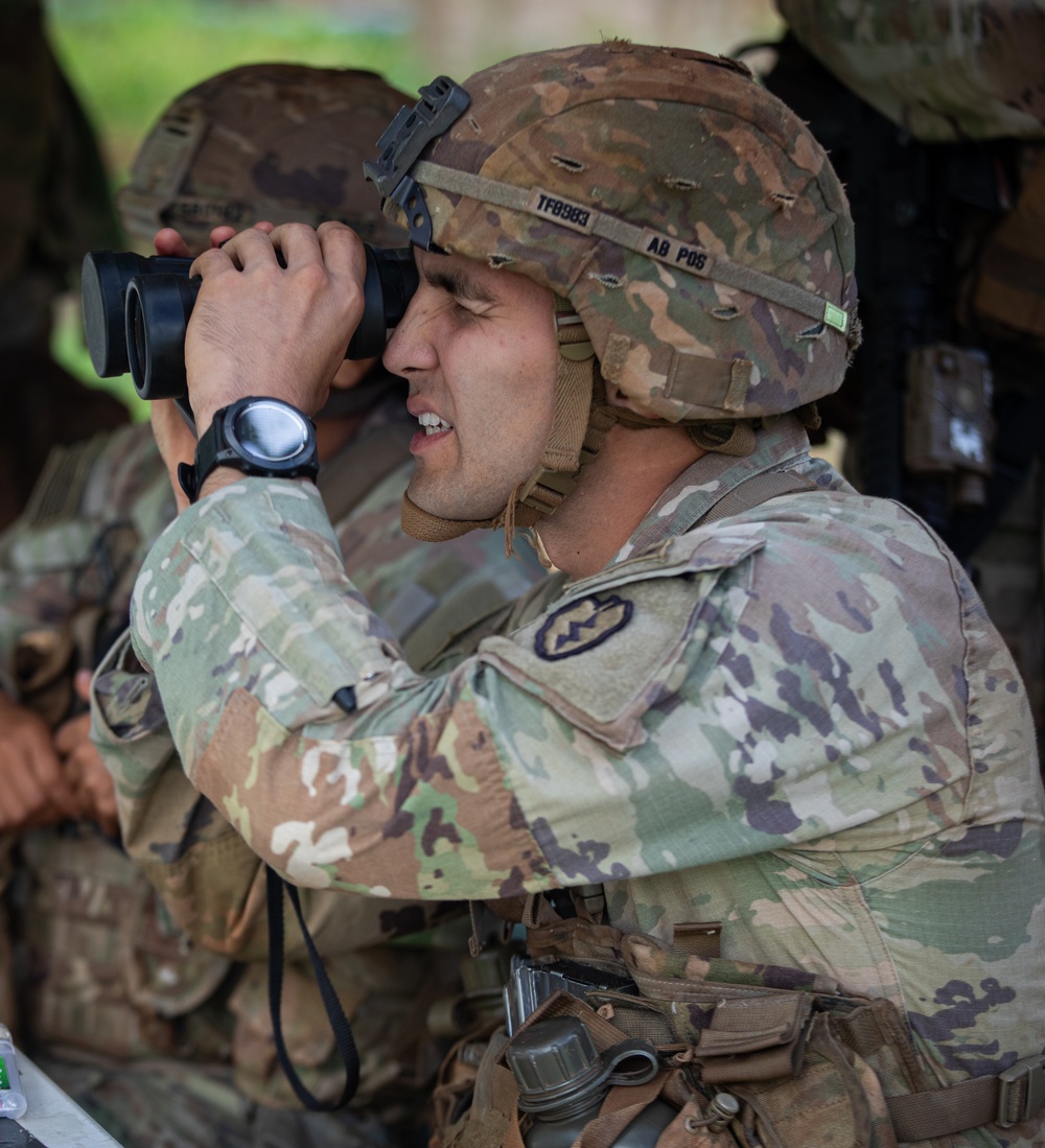 Expert Infantry, Expert Field Medical Badge, Expert Soldier Badge (E3B)