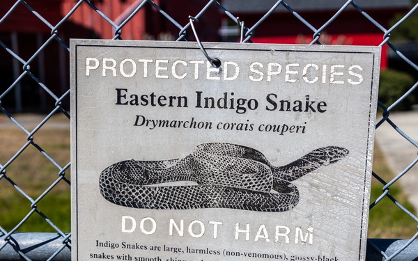 Townsend Bombing Range tour