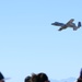 Thunder and Lightning Over Arizona Air Show 2025 Day One