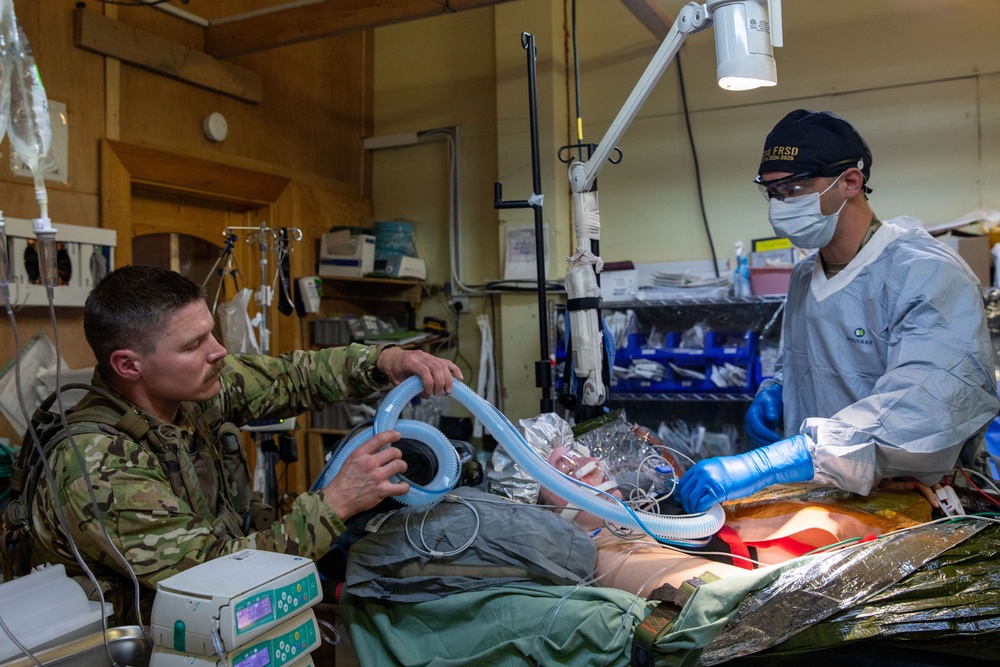 Role 2 and Dustoff Medical Soldiers Conduct MEDEVAC Training