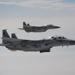 Gulf States practice interoperability during Exercise Eagle Resolve 25