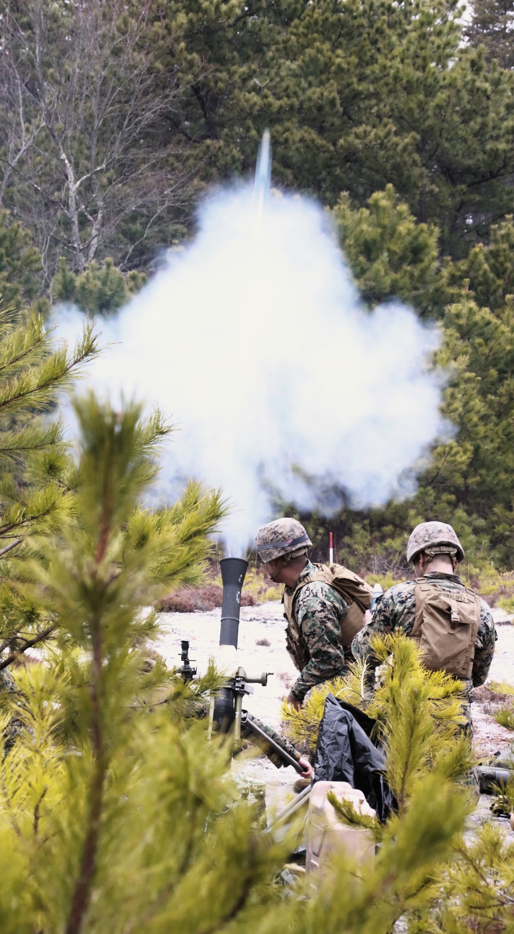 JB MDL - USMC CALEX, 2 BN 25 USMC