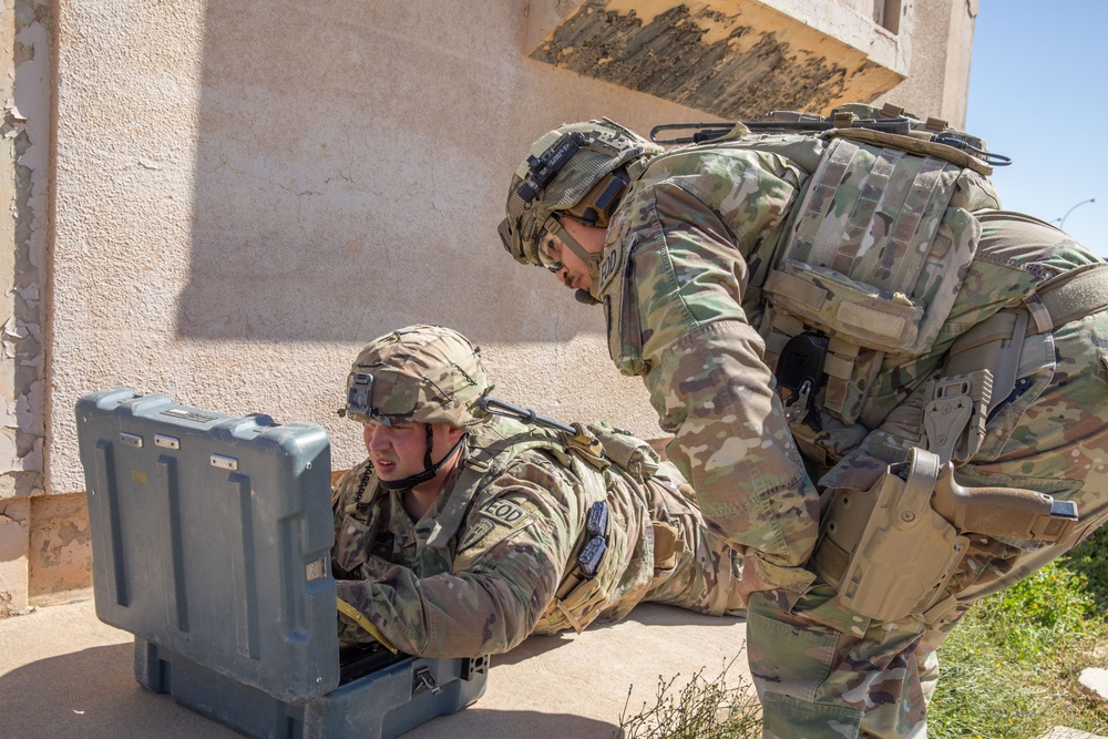 Coalition Forces Conduct Explosive Ordnance Disposal Joint Training at AAAB