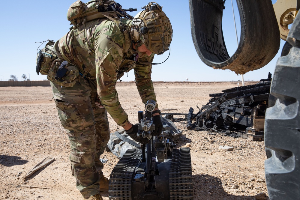 Coalition Forces Conduct Explosive Ordnance Disposal Joint Training at AAAB
