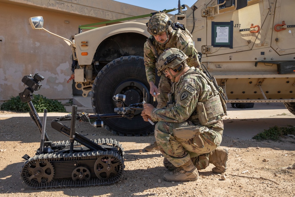 Coalition Forces Conduct Explosive Ordnance Disposal Joint Training at AAAB