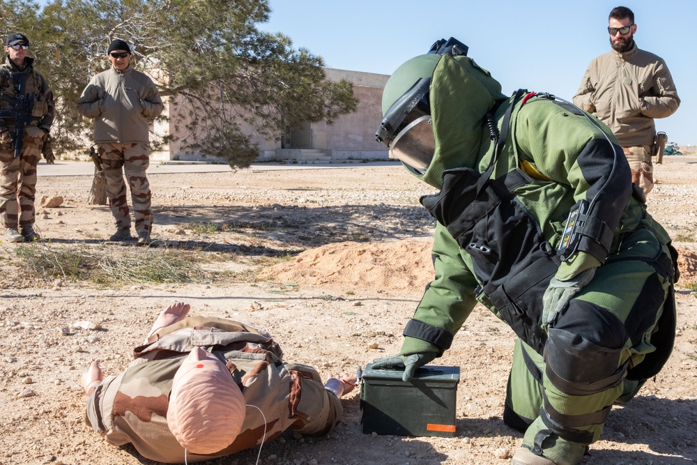 Coalition Forces Conduct Explosive Ordnance Disposal Joint Training at AAAB