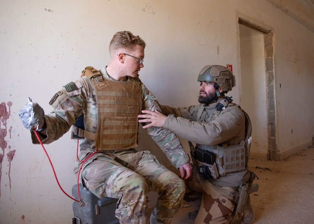 Coalition Forces Conduct Explosive Ordnance Disposal Joint Training at AAAB