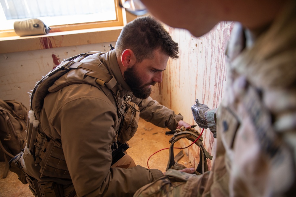 Coalition Forces Conduct Explosive Ordnance Disposal Joint Training at AAAB