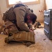 Coalition Forces Conduct Explosive Ordnance Disposal Joint Training at AAAB