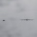 B-52 Stratofortress makes first mission of BTF 25-2