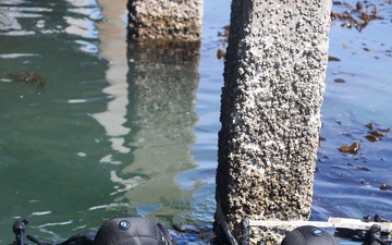 UCT 2 Conducts Underwater Damage Survey and CASEVAC During  Joint Training Exercise