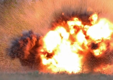 US Army Combat Engineers Conduct Obstacle Clearing Operations Alongside the Royal Thai Army during Hanuman Guardian 25