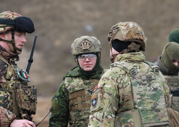 Strengthening battle readiness: U.S. soldiers participate in multinational engineering exercise Verboom