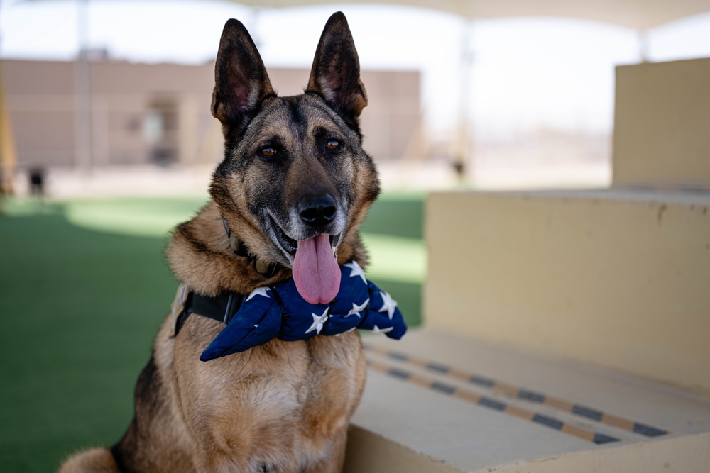 Grand Slam MVP, military working dog Ricsi