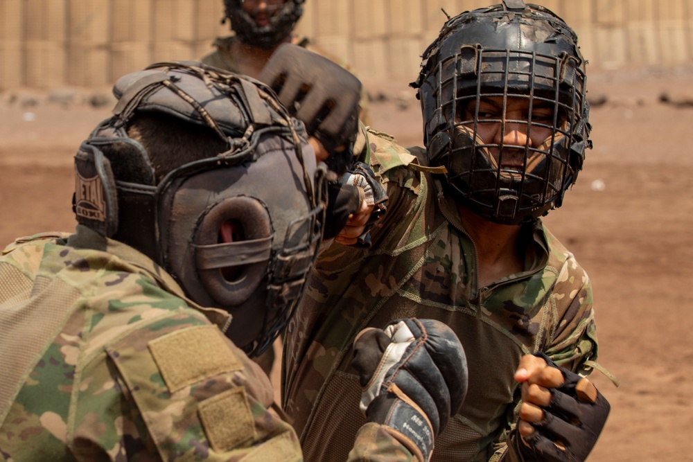 French Desert Commando Course