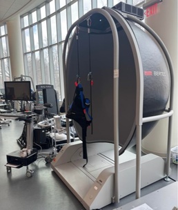 Computerized Dynamic Posturography