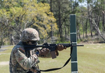 Iron sights