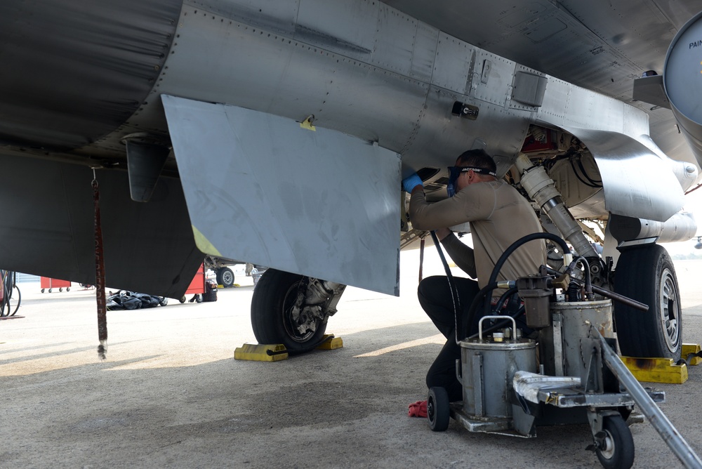 77 EFS, EFGS showcase U.S. airpower at Cope Tiger 25