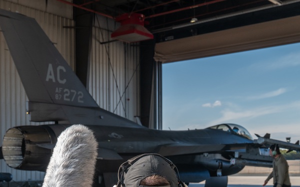 Echo 19 Audio Production F-16C Recording