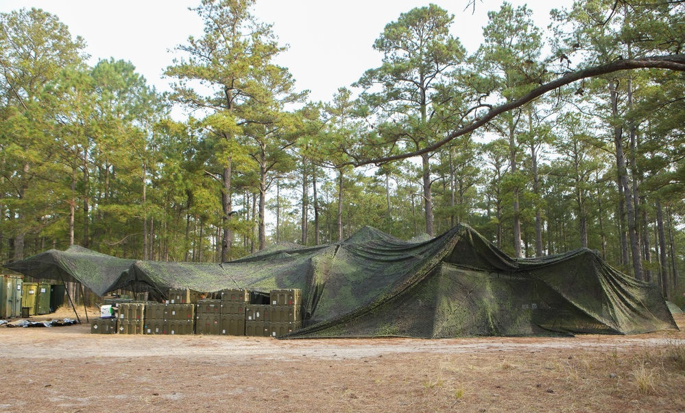 2nd Medical Battalion CERTEX | Bravo Co Mass Casualty Drill