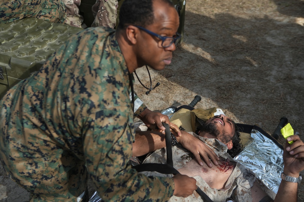 2nd Medical Battalion CERTEX | Bravo Co Mass Casualty Drill