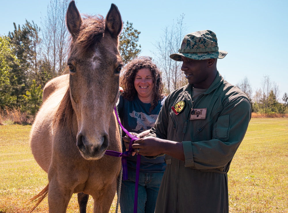 CBIRF Marines Conduct Animal Decontamination Training