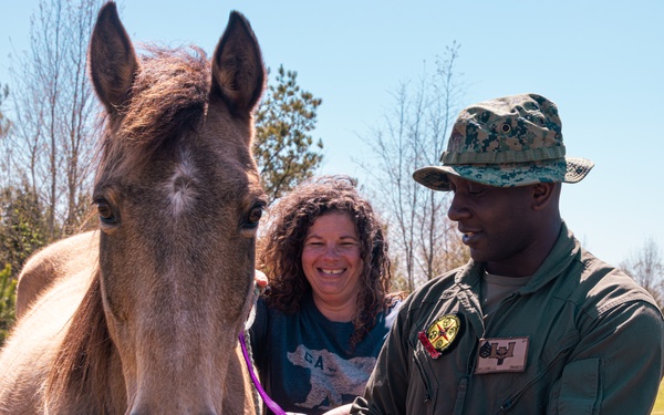 CBIRF Marines Conduct Animal Decontamination Training