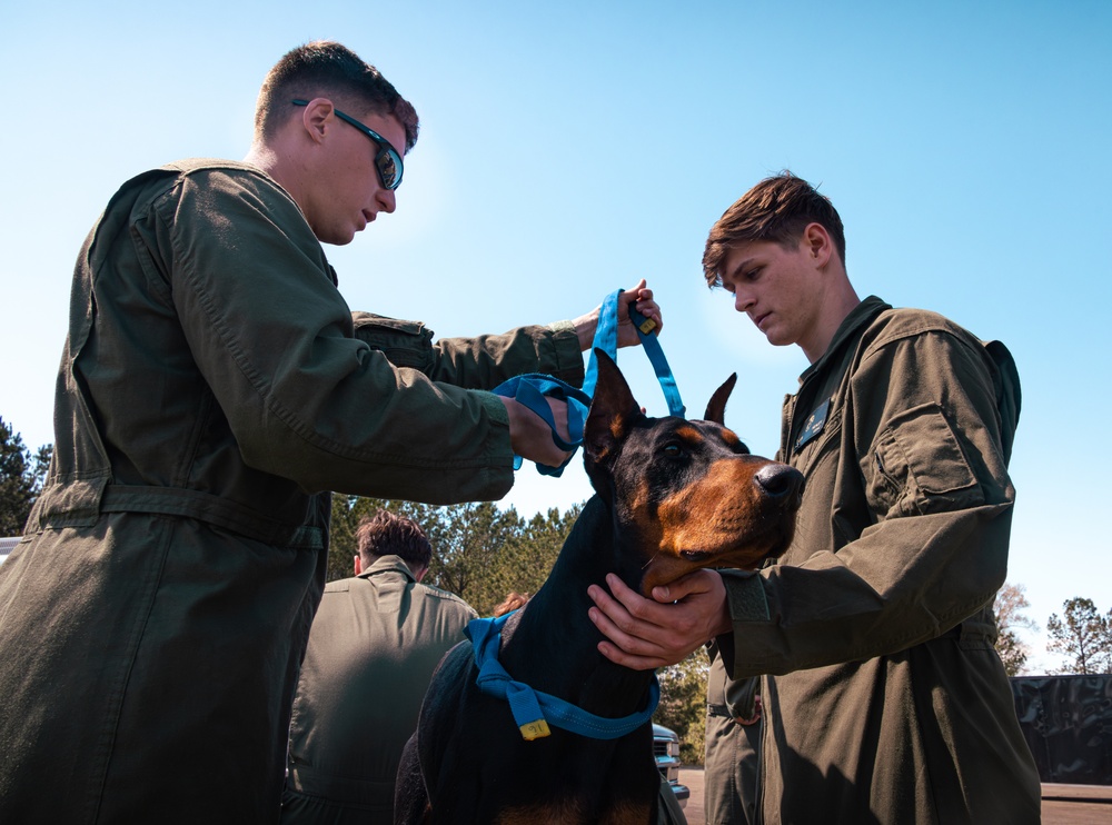 CBIRF Marines Conduct Animal Decontamination Training