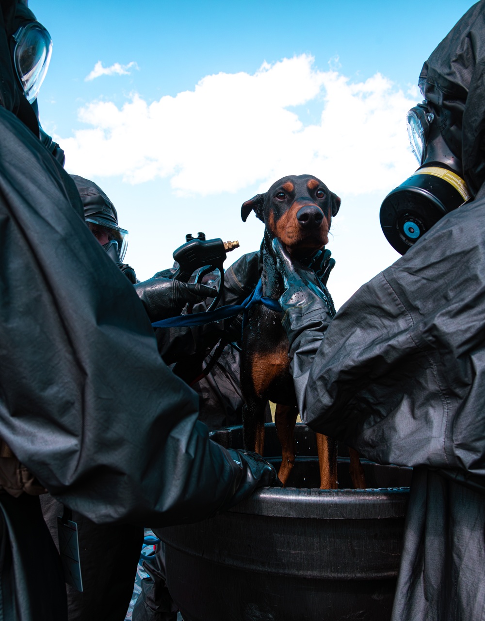 CBIRF Marines Conduct Animal Decontamination Training