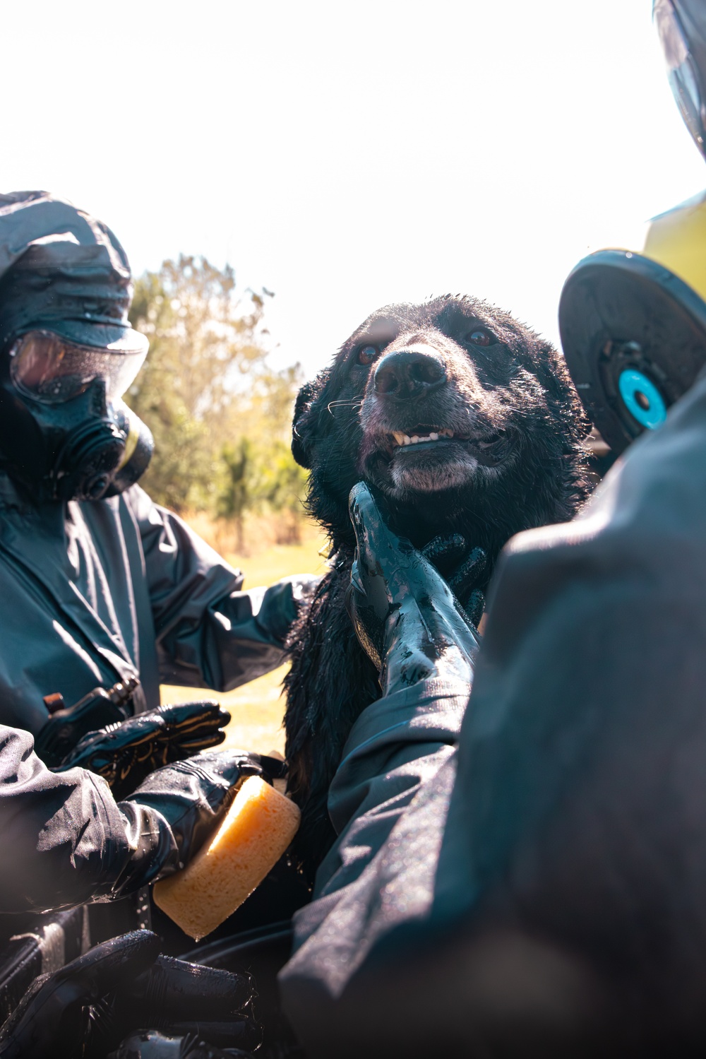 CBIRF Marines Conduct Animal Decontamination Training