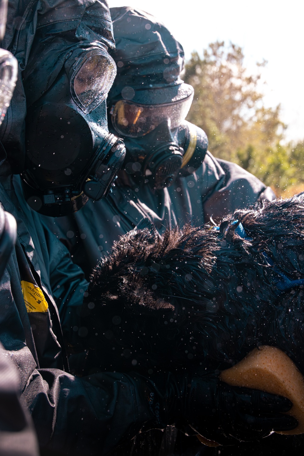 CBIRF Marines Conduct Animal Decontamination Training